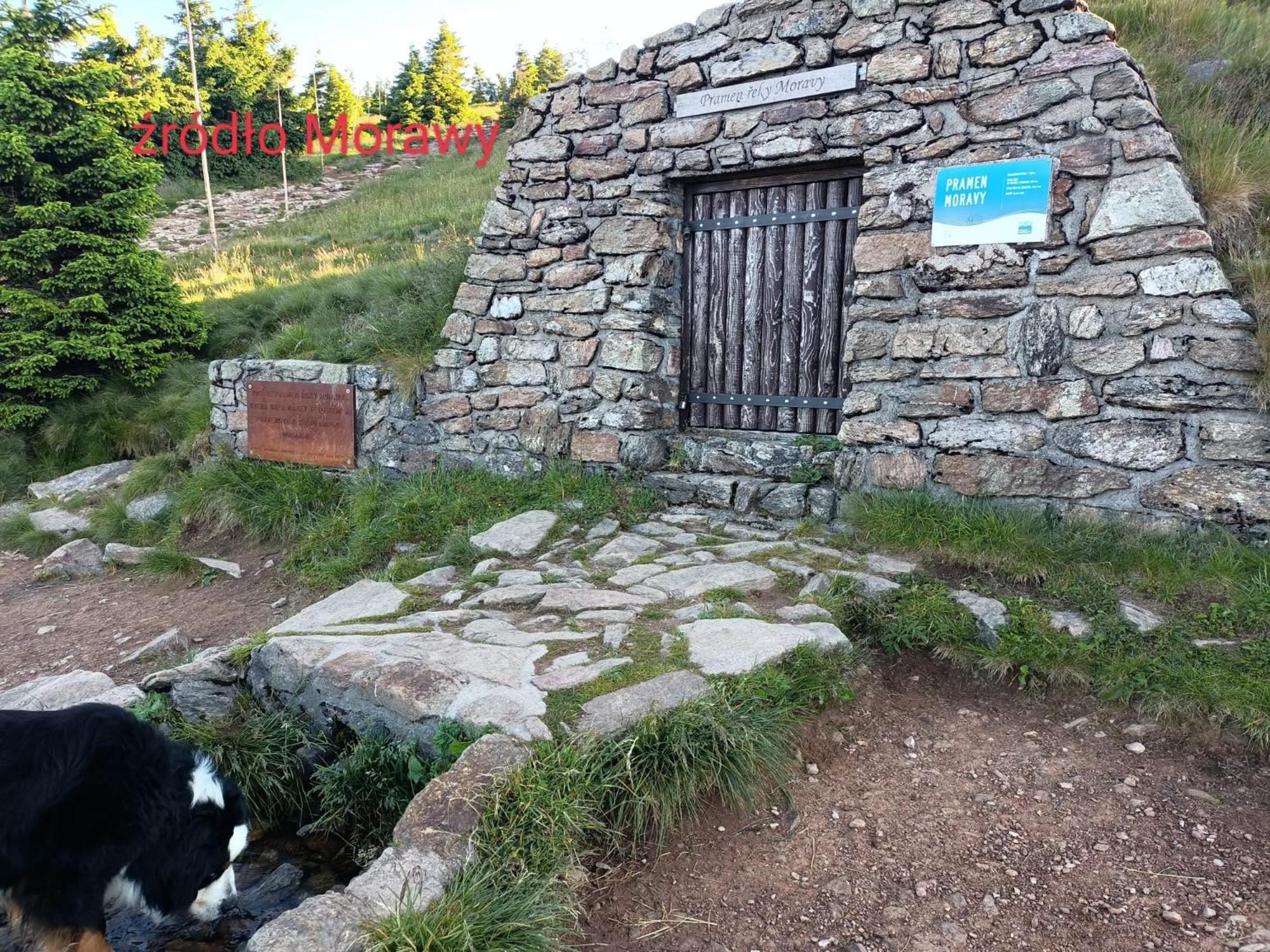 Frühstückspension I Sauna W Starym Domu *